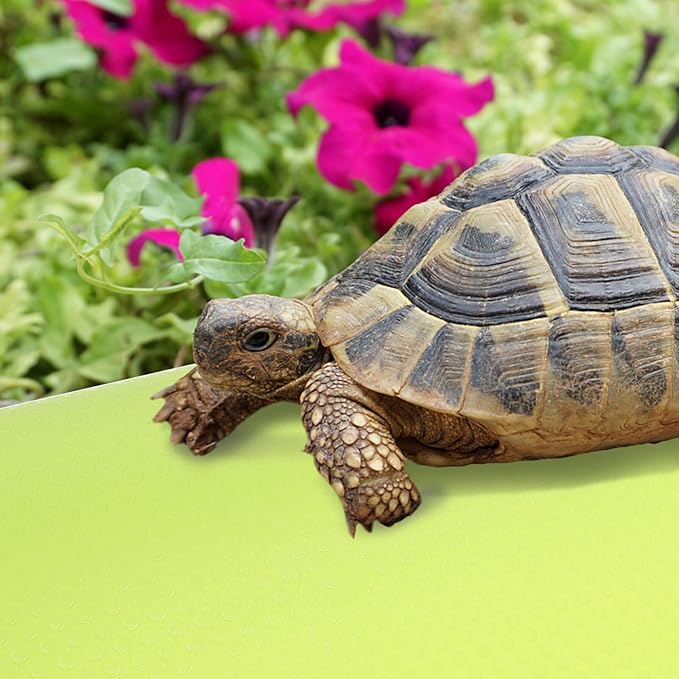 Crawling Blanket Reptile Carpet Reptile Substrate Mat Reptile Supplies Leopard Print Bedding Gecko Bedding Mat Bearded Dragon Accessories Snake Cage Accessories Reptile Cage Carpet