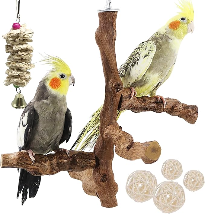 Allazone 6 PCS Bird Perch Natural with Chewing Toys Natural Grapevine Bird Stand Grape Stick Natural Bird Parrot Perch Standfor Parrots, Parakeets Cockatiels, Conures, Macaws, Love Birds (Style 8)