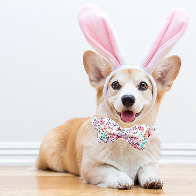 Lionheart glory Dog Bow Collar Easter Day Dog Collar for Medium Dogs,Rabbits Dog Collars with Bowtie Colorful Dog Collar Spring Collars Pet Collar Bows
