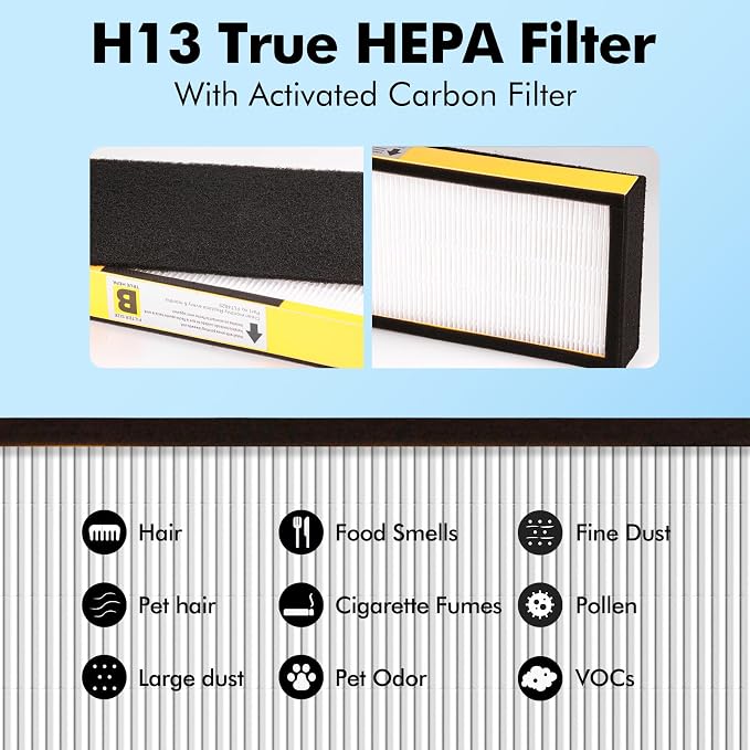 FLT4825 Filter B HEPA Pure Replacement Compatible