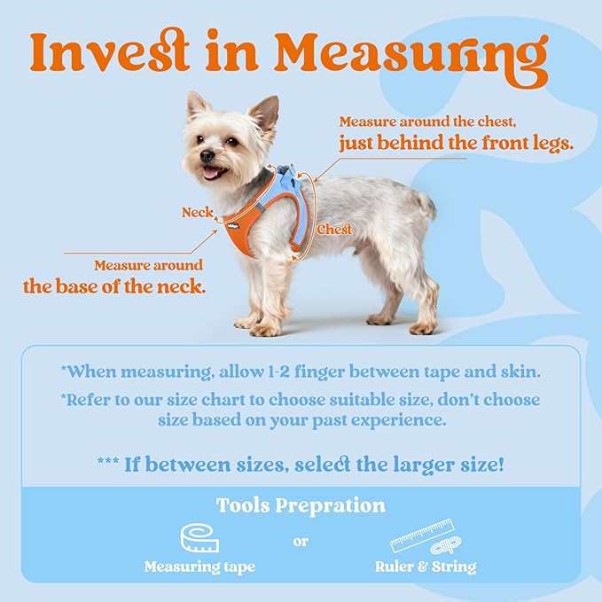 rabbitgoo Small Dog Harness, Step-in Soft Mesh Puppy Vest with Safety Buckle, Breathable Reflective Pet Harness for Small Sized Dogs, Blue & Orange M