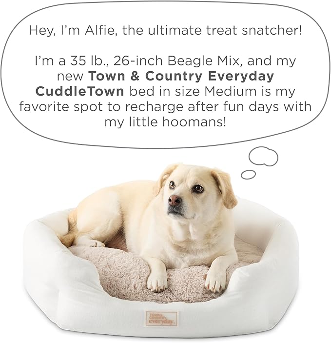 TOWN & COUNTRY EVERYDAY CuddleTown Faux Linen Comfy Cozy Cuddler Pet Bed, Supportive & Calming Egg Crate Foam, Non-Slip Bottom, Machine Washable Cover, Grey, Medium 28"x26"x8"