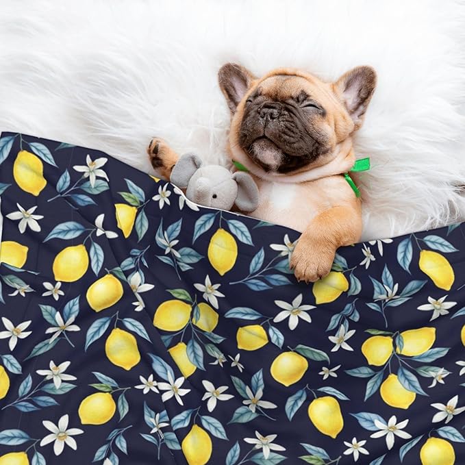 Reversible Dog Blanket for Beds Couches, Citrus Fruit Flower Lemon Green, Double Sided Cat Blanket with Textured Dot Feel and Smooth Feel for Seasonal Comfort All Year