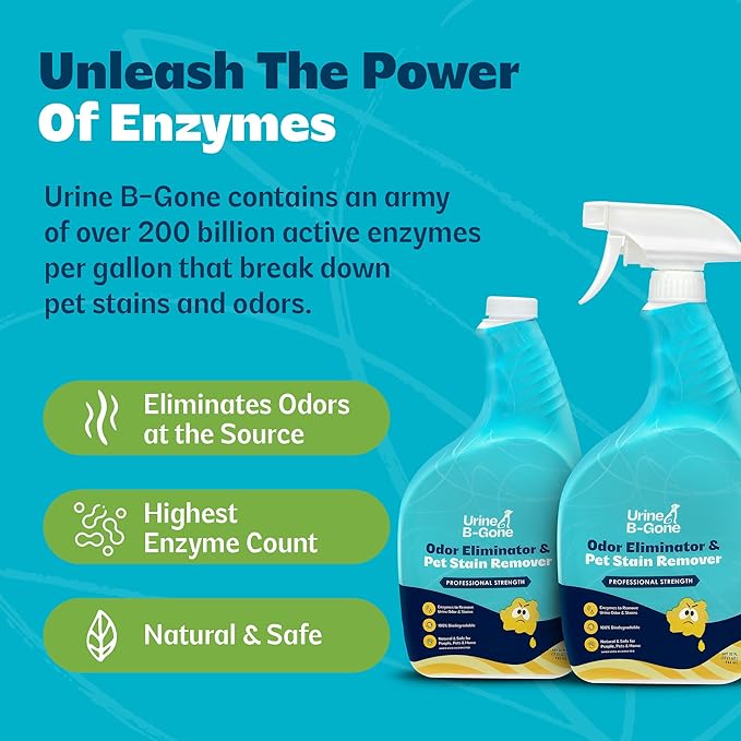 Urine B-Gone, Professional Enzyme Odor Eliminator & Pet Stain Remover, Human, Cat & Dog Urine Cleaner, Effective on Laundry, Carpets & More, Original Scent, 32oz, Pack of Two
