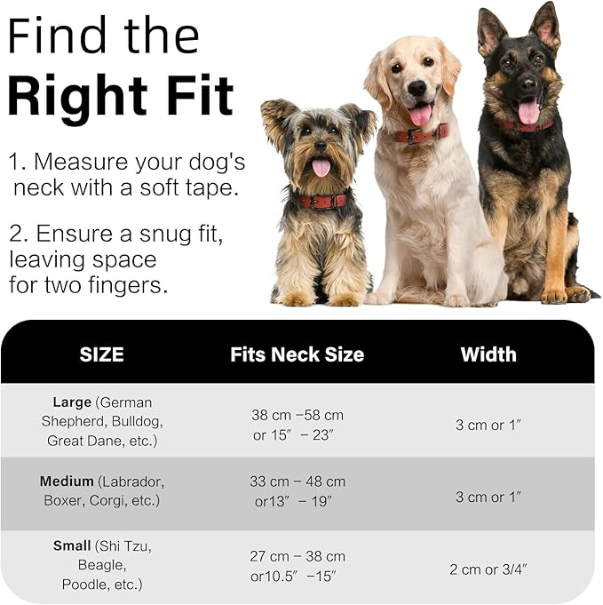 4.2FT Dog Collar and Leash Set, PVC Waterproof Adjustable Odor Proof Pet Collars Leashes, Easy to Clean, Surface 3D Cube Effect, Dog Leash for Small Dogs, Dark Red