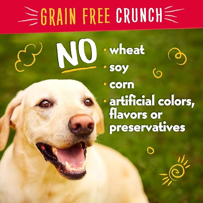 Charlee Bear Crunchy Dog Training Treats, Low Calorie (3 Kcal), Grain Free Natural Mini Dog Treats for Puppies, Small, Medium & Large Dogs, USA Made, Healthy Bacon-Blueberry Flavor 8oz (2-Pack)
