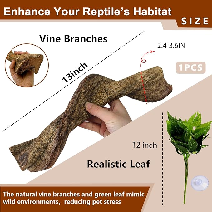 BNOSDM Reptile Climbing Branches Decor,Snake Climbing Branch,Gecko Climb Wood,Lizard Bold Forest Branch,Tank Habitat Tree Trunk Decorations for Bearded Dragons,Chameleons,Spider,Frogs,2.5-3.25" T