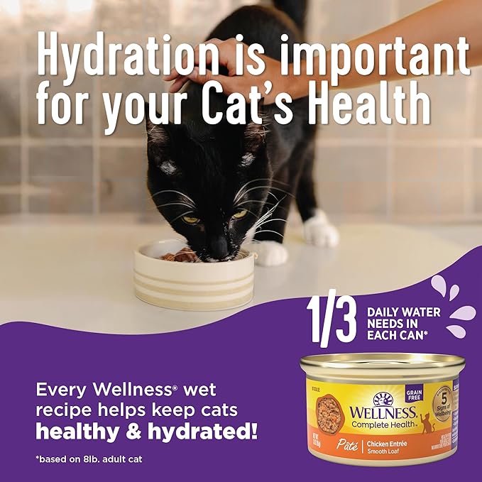 Wellness Complete Health Pate Adult Wet Cat Food, Natural, Protein-Rich, Grain Free, 3 Ounce, 24 Pack, (Chicken)