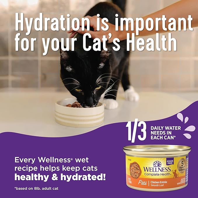 Wellness Complete Health Pate Adult Wet Cat Food, Natural, Protein-Rich, Grain Free, 5.5 Ounce, 24 Pack, (Turkey & Salmon)