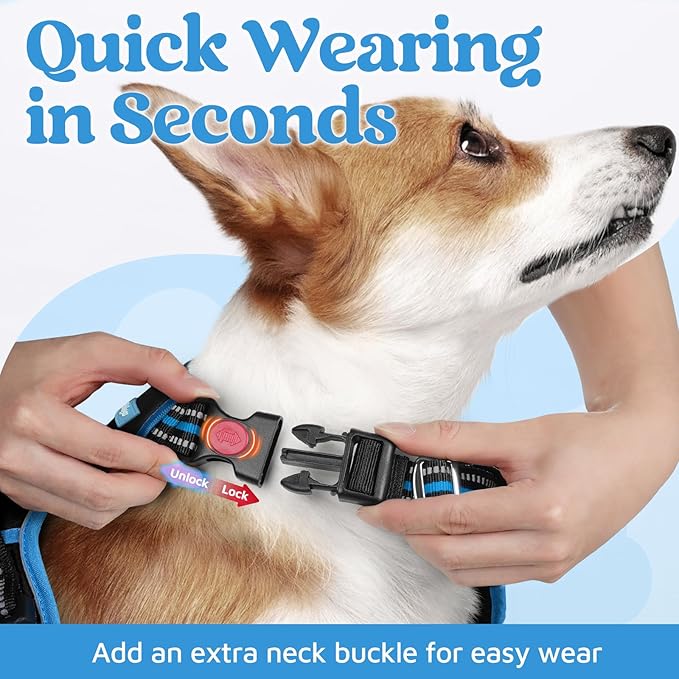 rabbitgoo Dog Harness for Large Dogs, No Pull Pet Vest with 3 Buckles, Adjustable Soft Padded Pet Harness with Easy Control Handle and Reflective Strips, Black & Sky Blue, XL