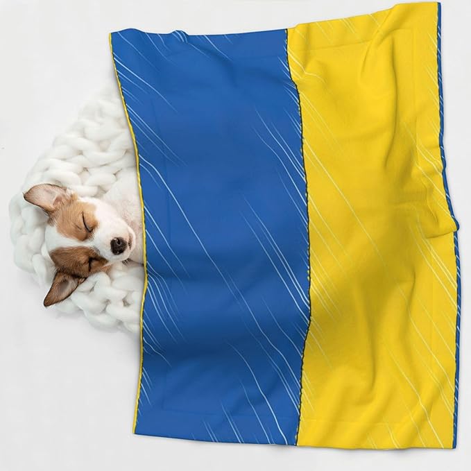 Pet Blanket for Car Rides Vet Visits, Abstract Ukraine Flag, Two Sided Reversible Plush Design with Bumpy Dot Side Offers Comfort Home Piece On Go Travel