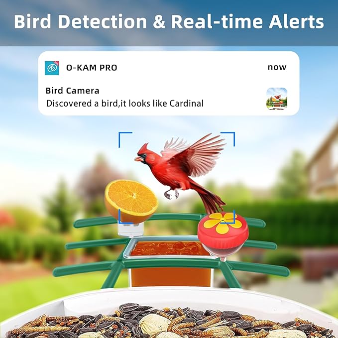 Kurain® Smart Bird Feeder with Camera, Video Birds Feeder with Solar Panel, AI Identify, Live View, Capture Bird Video, 2.5L Large-Capacity, Instant Arrival Alerts, Ideal Gift for Birdlover