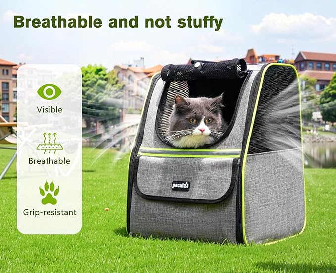 Pecute Cat Backpack Carrier, Expandable Cat Backpack for Cats Dogs up to 11 lbs, Pet Travel Backpack for Small Dogs Medium Cats, Cat Carrier with Ventilated Mesh, Safety Leash, Hiking Outdoor, Grey