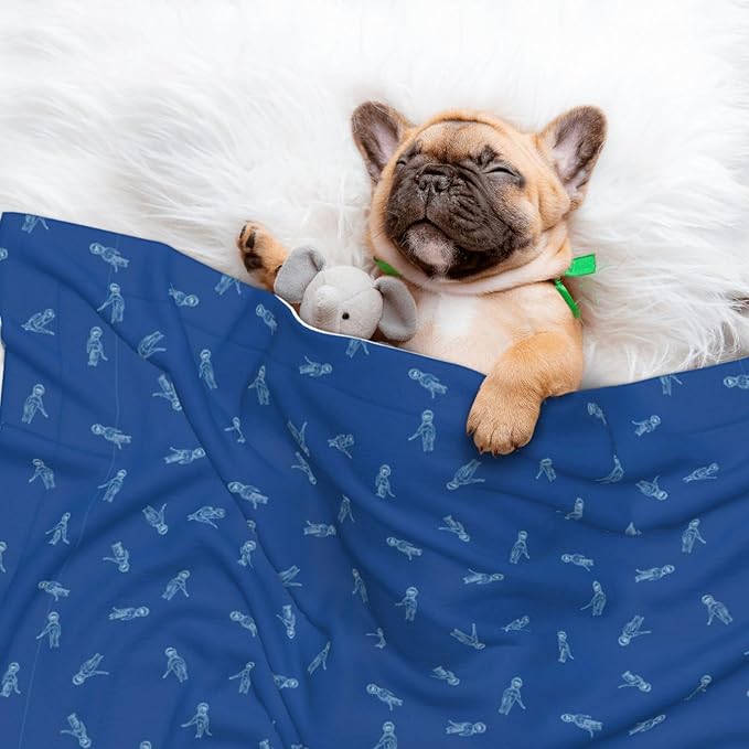 Two Sided Plush Pet Blanket for Warmth Comfort, Blue Background, Reversible Throw with Cozy Nubby Side for Chilly Nights Napping Spots Around House