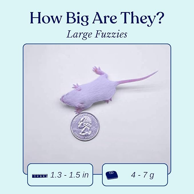 MiceDirect EST. 2003 50 Frozen Mice Fuzzie Feeders Snake Food for Juvenile Hognose Corn milks (1.25-1.5 in) (200 Grams Min)