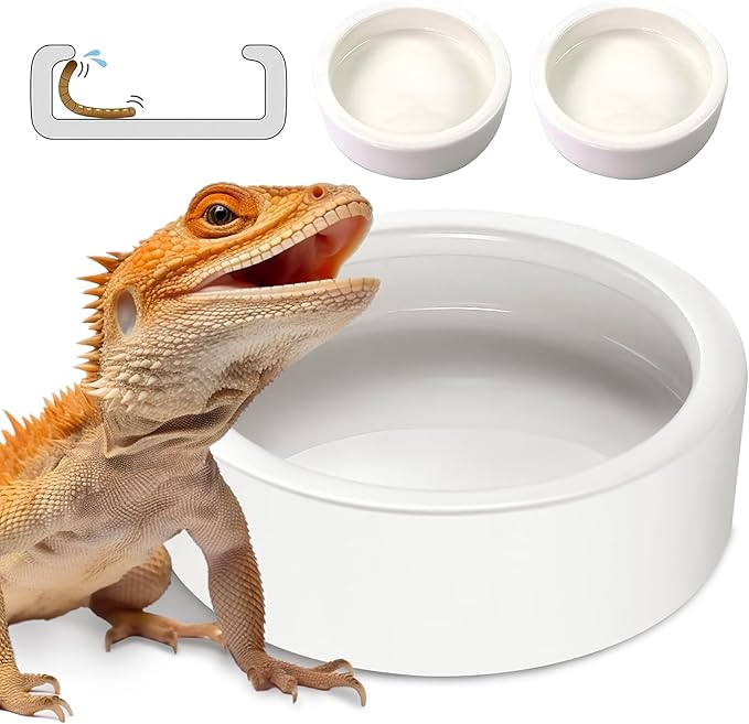Worm Dish - Large 2 Pcs Reptile Food & Water Bowl for Lizard, Gecko, Chameleon, Hermit Crab, Bearded Dragon & More - Ceramic Anti-Escape Mini Reptile Feeder