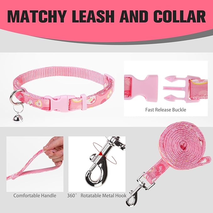 EXPAWLORER Small Dog Valentines Harness and Leash Set - Cute Puppy Harness Leash Dog Collar with AirTag Holder Silicone Case, Soft Padded Step in Pet Vest Reflective for Outdoor Walking, Heart M