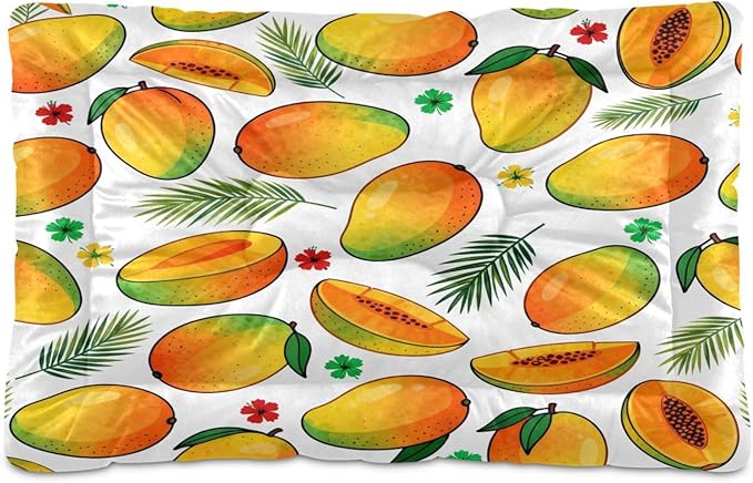 Mango Fruit Dog Beds Crate Pad Washable Pet Mat for Dogs Cats, Non-Slip Travel Bed Pad, Indoor Outdoor Kennel Pad 24x18in