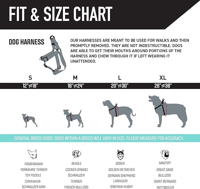 Wolfgang Heavy Duty Adjustable Dog Harness, Pull-Tested to Over 800 lbs for Walking & Training, DawnPatrol Print, Small