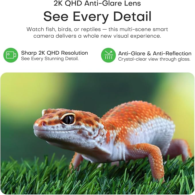 Aquarium 3MP Terrarium AI Monitoring Camera Close-up Details, 2.4G&5Ghz WiFi Starlight Color Vision for Reptile Pets, Anti-Glare& NO Reflect with 24/7 Events Recording in Easy Magnetic Install