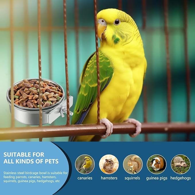 2Pcs Stainless Steel Bird Feeding Bowls, Small Bird Feeding Cup, Stainless Steel Parrot Food Bowl Cage with Holder, Parrot Cage Water Feeder, Pet Cage Cup Holder (Dia 3.93", 5.51",)