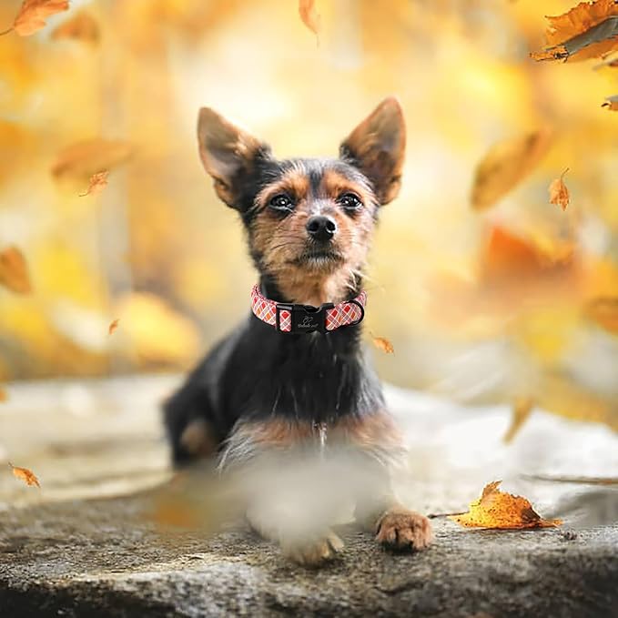 Fall Dog Collar, Fall Orange and Red Plaid Puppy Collar, Adjustable Cotton Holiday Tanksgiving Dog Collars for Small Medium Large Boy&Girl Dogs L