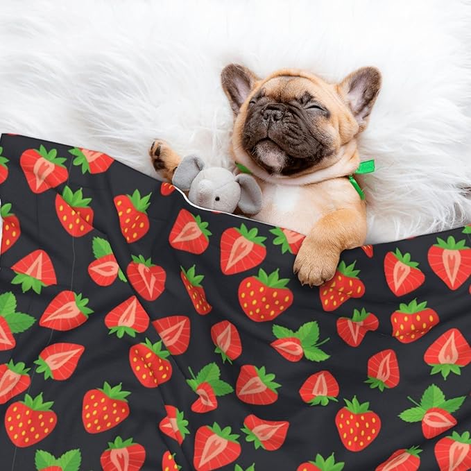 Reversible Dog Blanket for Beds Couches, Cute Red Strawberry Pattern Black, Double Sided Cat Blanket with Textured Dot Feel and Smooth Feel for Seasonal Comfort All Year