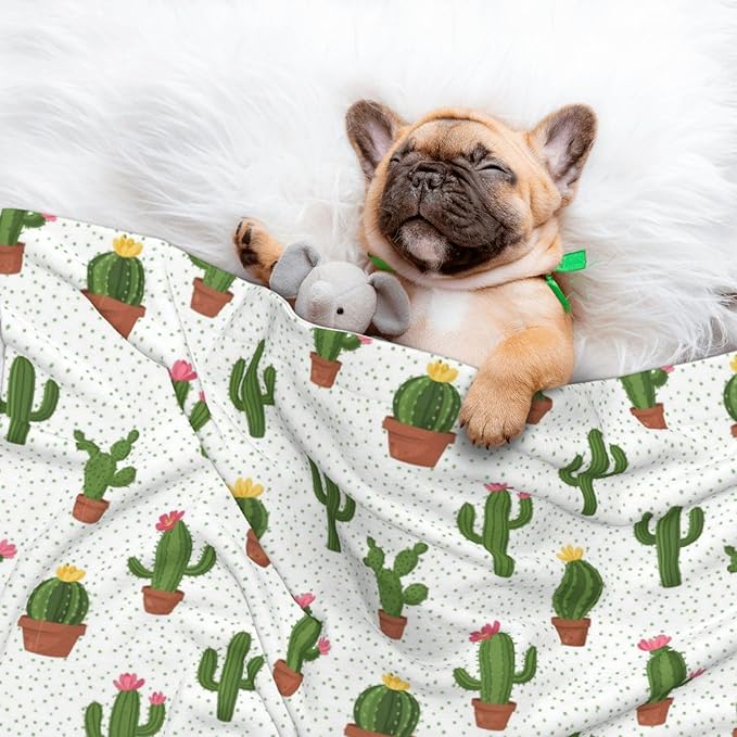 Double Sided Plush Pet Blanket for Small Large Animals, Cactus Floral Bloom Flower Summer Tropical Watercolor, Reversible Throw with Dimpled Dot Side and Flat Side for Kennels Living Rooms