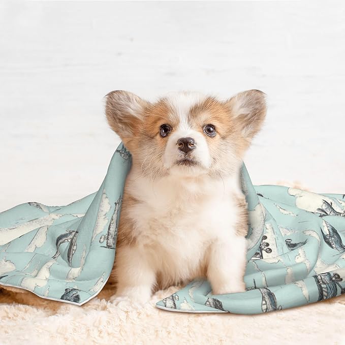 Waterproof Dog Blanket Soft Pet Blanket for Puppy Cat, Fleece Cat Throw Blankets for Furniture Bed Couch Sofa Reversible - Airplanes in The Sky 1