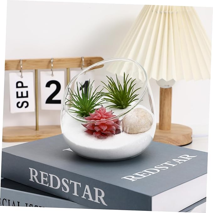 Yardwe Slant Cut Succulent Bowl Glass Terrarium - Thickened Moss Micro Landscape Bottle for Indoor Outdoor Plant Decor Home Ecological Bottle Present