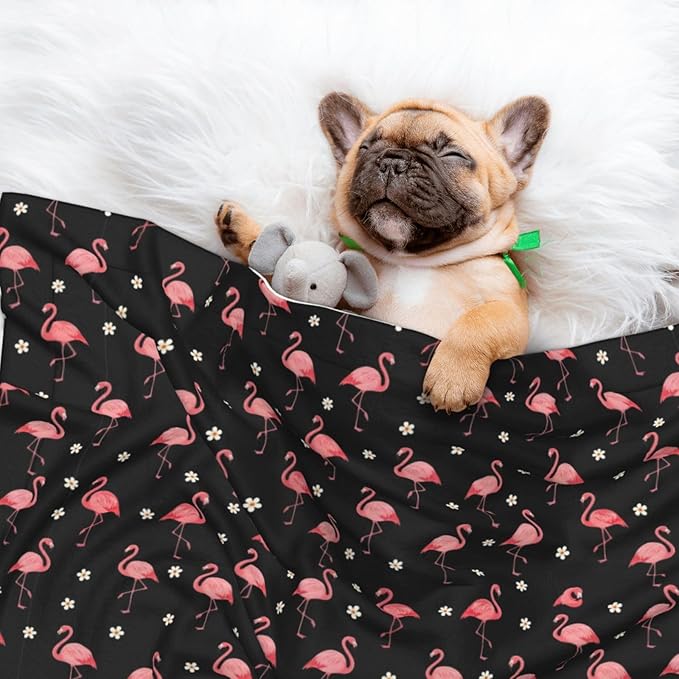 Two Sided Pet Cuddler Blanket for Anxiety Calming, Exotic Bird Pink Flamingos, Reversible Plush Design with Bubble Dot Pattern Provides Familiar Surface Anywhere