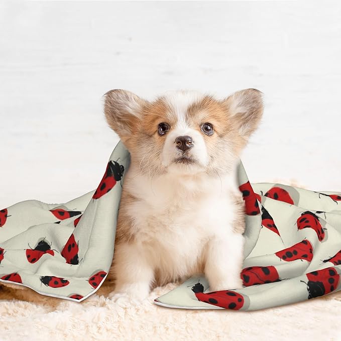 Waterproof Dog Blanket Soft Pet Blanket for Puppy Cat, Fleece Cat Throw Blankets for Furniture Bed Couch Sofa Reversible - Beautiful Red Ladybug 3