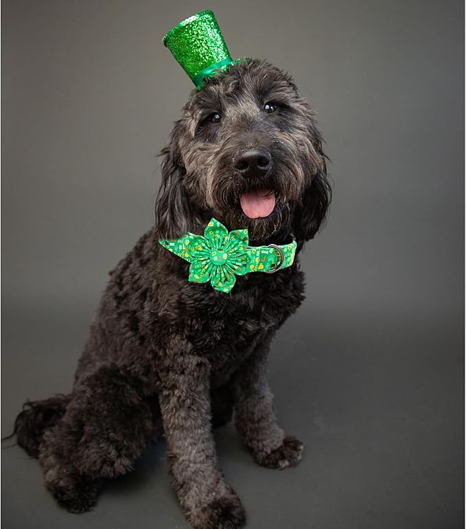 Lionheart glory St. Patrick's Day Dog Collar with Flower Dog Collars for X-Small Dogs, Heavy Duty Green Collars Bows Lucky Clover Shamrock Pet Collar Flower Puppy
