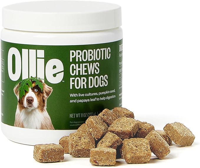 Ollie Belly Rubs Dog Probiotic Chews - Probiotics for Dogs and Ollie Chicken and Apple Recipe Jerky Dog Treats - Dog Jerky Treats All Natural
