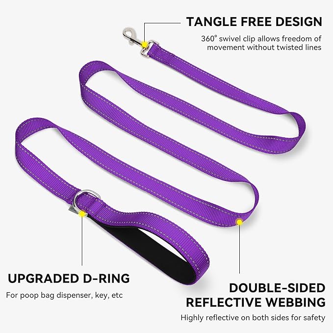 Joytale Dog Leash, 6 FT Double-Sided Reflective, Padded Handle Nylon Heavy Duty Leashes for Medium & Large Dogs Walking, Purple