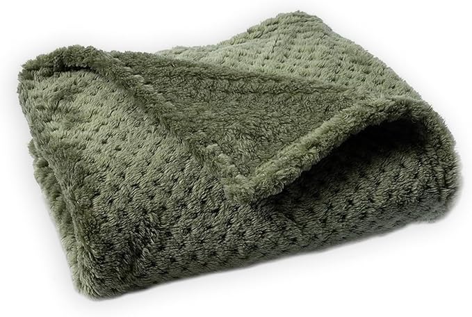 Pet Blanket Warm Soft Dog Blankets Washable Cat Throw Blankets Sofa Bed Couch Furniture Protector Cover for Small Medium Large Dogs Cats, Green, 39" x 63"