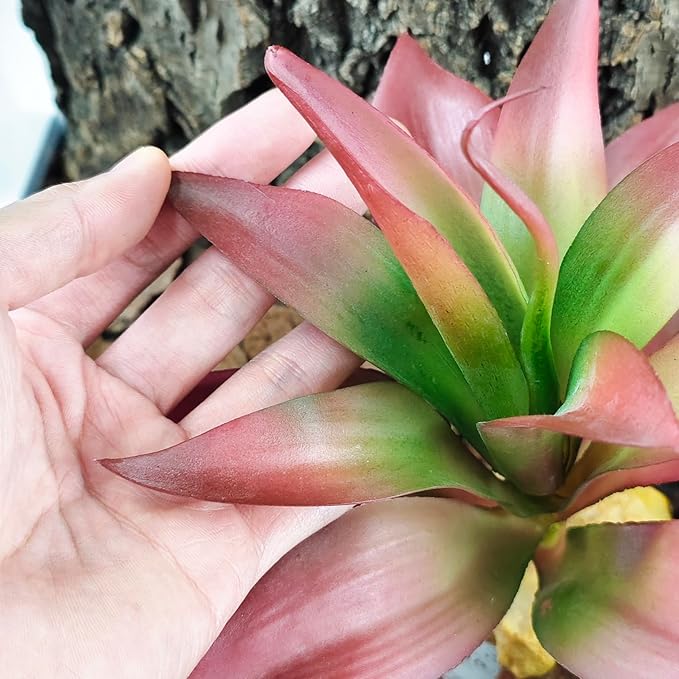 Woyrise Reptile Plants Succulent, Artificial Desert Plant for Terrarium Decor, Bearded Dragon Tank Accessories fit Gecko Lizard Chameleon Ball Python Snake - Guzmania lingulata