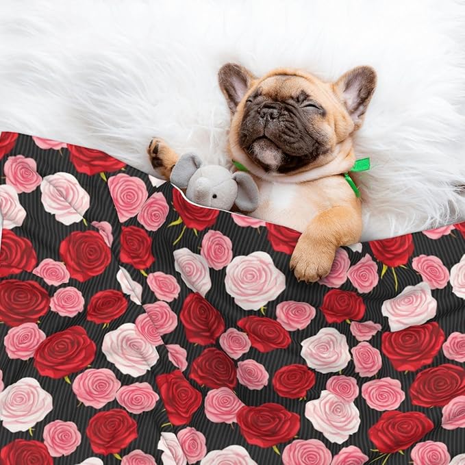 Two Sided Plush Pet Blanket for Warmth Comfort, Black White Stripes Red Rose Flowers, Reversible Throw with Cozy Nubby Side for Chilly Nights Napping Spots Around House