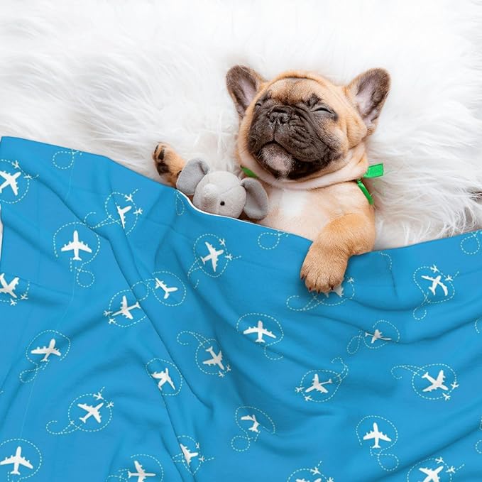 Pet Blanket for Indoor Outdoor Use, Aircraft Airplane Pattern Navy Blue, Two Sided Reversible Plush Mat with Bumpy Dot Texture for Patios Crates Portable Bed Companion