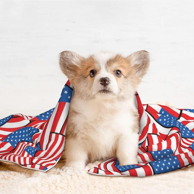 Double Sided Pet Mat for Dog Bed Topper Cat Blanket Furniture Protector, Novelty American Flag, Reversible Plush with Tactile Dot Pattern for Style Change