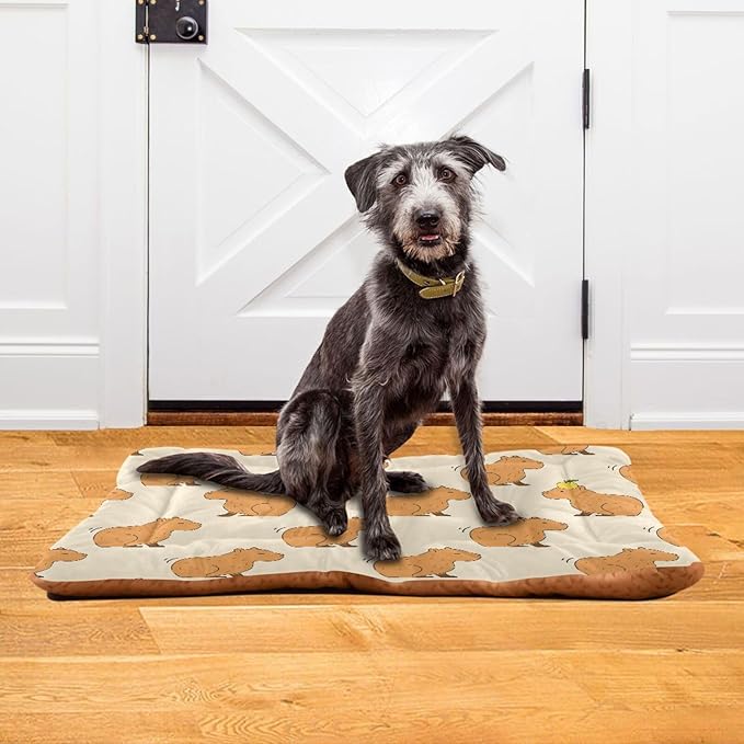 Pet Bed Cute Capybara Dog Bed Mat Absorbing Non Slip Pad Pet Sleeping Mat for Small, Medium, and Large Dogs Puppy Cat 36 in x 24 in