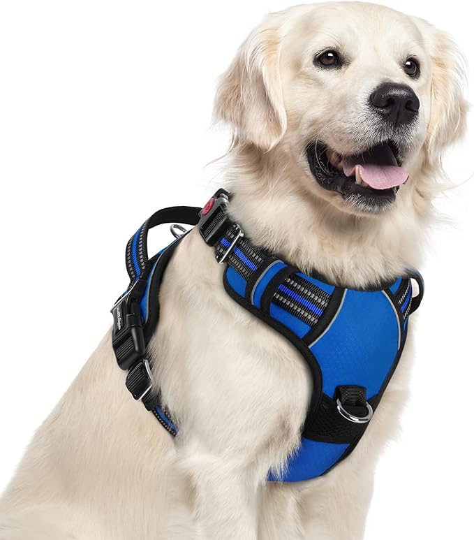 rabbitgoo Dog Harness for Large Dogs, No Pull Pet Vest with 3 Buckles, Adjustable Soft Padded Pet Harness with Easy Control Handle and Reflective Strips, Royal Blue, XL