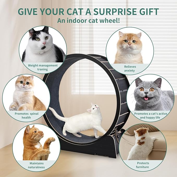Large Cat Exercise Wheel 40 Inch Treadmill Exerciser for Indoor Cats Love Kitty Running Toy Walking Training for Fitness Weight Loss Device Suitable for Most Cats Physical Exercise Activity