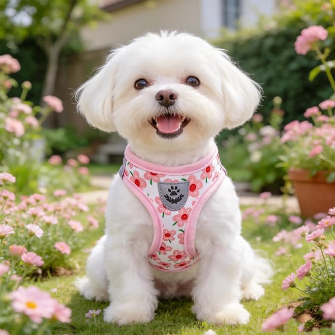SCENEREAL Small Dog Harness and Leash Collar Set, Step in Soft Light Puppy Vest, Breathable Pet Harness for Small Sized Dogs, No Chock Reflective for Safe Outdoor Walking, Pink Flower S