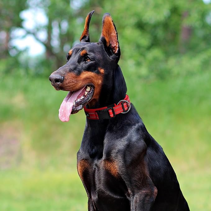 EXCELLENT ELITE SPANKER Reflective Dog Collar Classic Soft Padded Breathable Nylon Adjustable Pet Collar with Quick Release Buckle for Boy Girl Male Female Small Medium Large Dogs Training(Black-M)