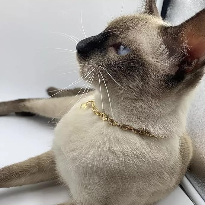 HOWWFALY Dog Collar and Cat Chain Necklace Stainless Steel Adjustable 18K Gold Heart-Shaped Necklace for Small Pets Cats Kitten Puppy (Gold, 10 inch)
