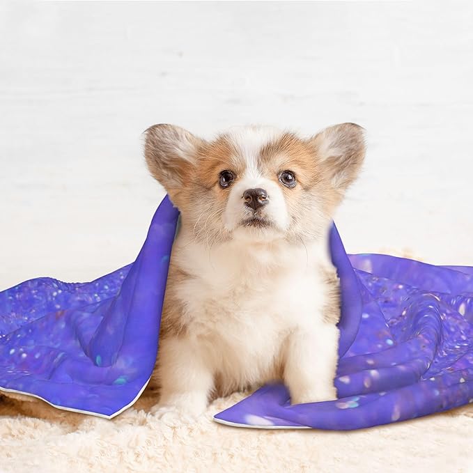 Waterproof Dog Blanket Soft Pet Blanket for Puppy Cat, Fleece Cat Throw Blankets for Furniture Bed Couch Sofa Reversible - Purple Glitter 2