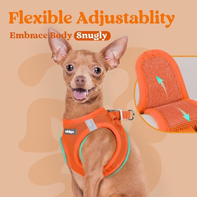 rabbitgoo Small Dog Harness, Step-in Soft Mesh Puppy Vest with Safety Buckle, Breathable Reflective Pet Harness for Extra Small Dogs, Orange XXS