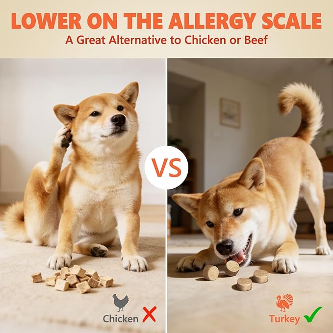 MAJOR PETS Freeze Dried Turkey Dog & Cat Treats, Quality High Protein, Hypoallergenic, Grain Free, Gluten Free, Human-Grade, Made in the USA, Easy to Digest for Training & Meal Topper, 10oz