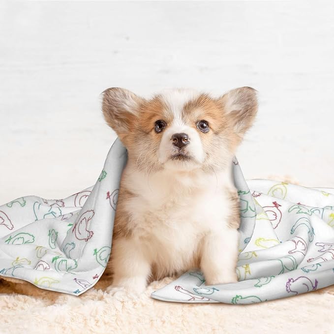 Dog and Cat Blanket in One, Hens Chicken Rainbow, Double Sided Plush Throw with Raised Dot Pattern on One Side and Flat Velvet on Other for Variety